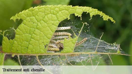 Traitement anti chenille 45230