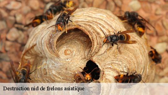 Destruction nid de frelons asiatique  45760